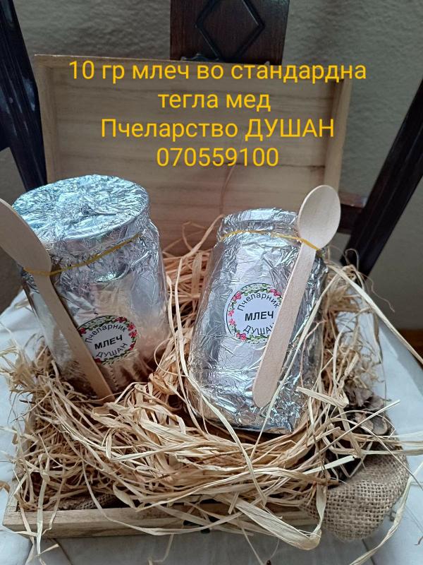 Ивица Цимбалевиќ-Апитерапевт